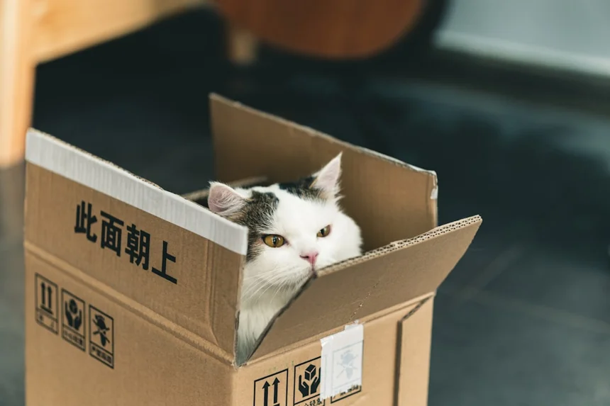 Package